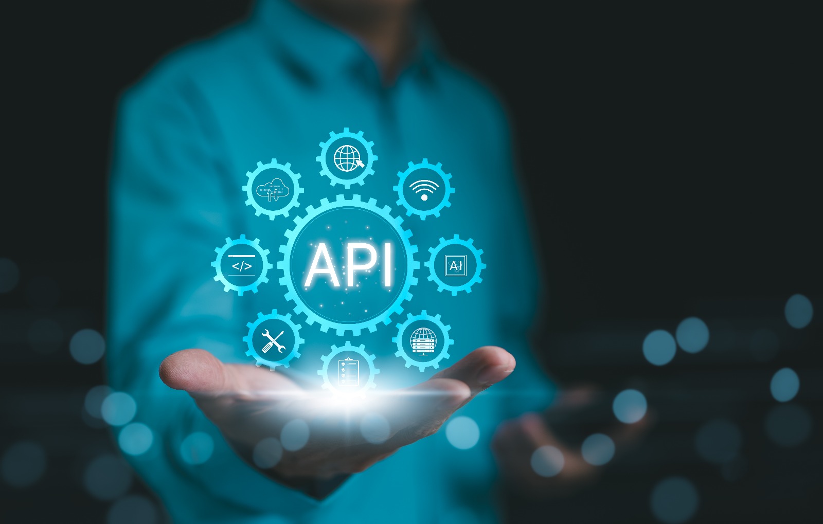 API Integration Dashboard showing real-time data flow and system connectivity